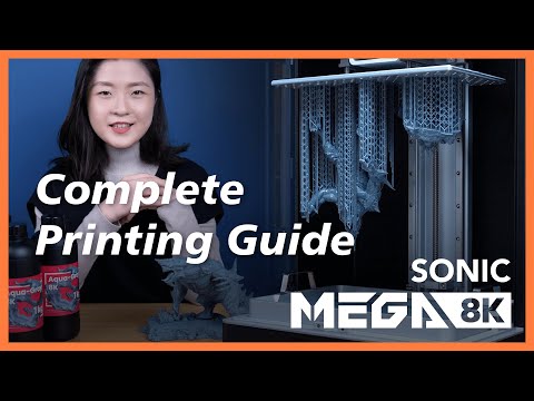 Sonic Mega 8K Complete Printing Guide