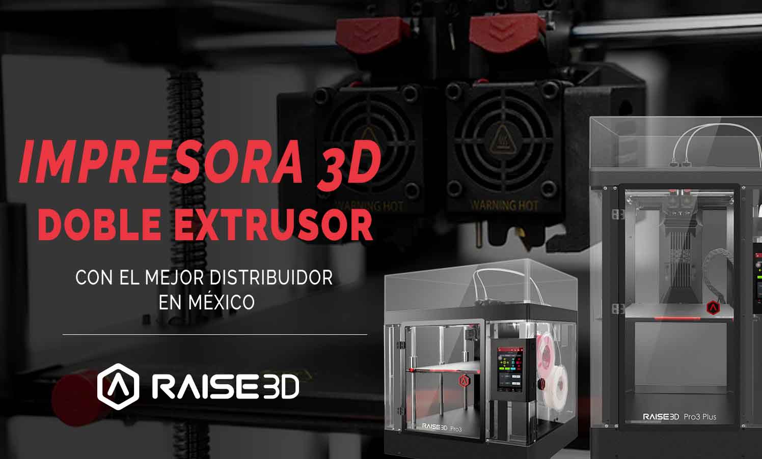 raise3d pro 3 plus