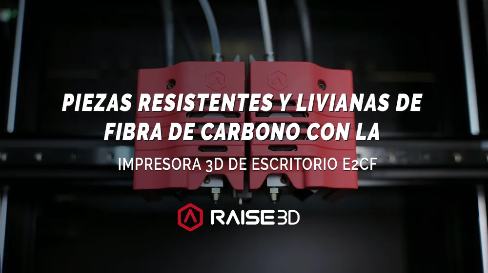 raise3d e2cf