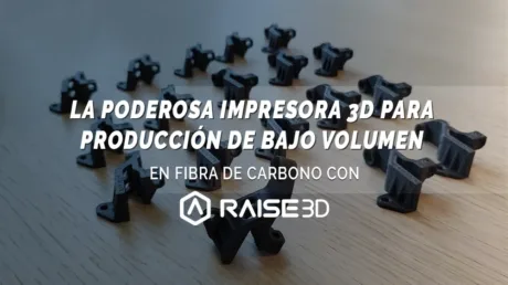 raise3d e2 cf