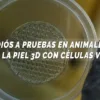 piel 3D