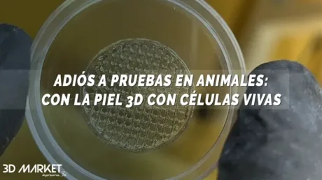 piel 3D