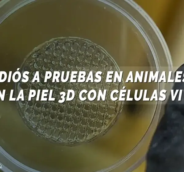 piel 3D