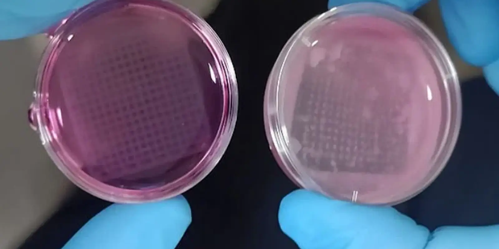 Qué es la piel 3D y cómo se fabrica